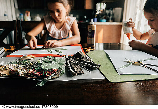 Girls make art projects from nature twigs leaves at homeschool