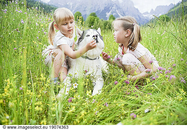 Girls spending leisure time with dog sitting on grass