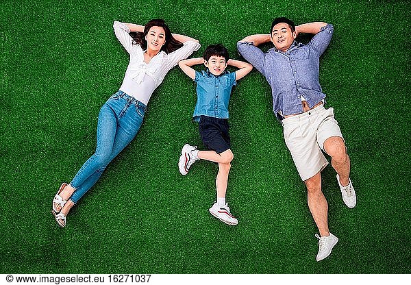 Glückliche Drei lagen im Gras