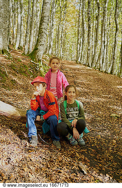 Glückliche Kinder im Wald