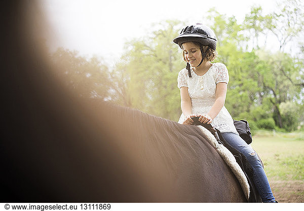 Glückliche Mädchen reiten auf dem Bauernhof