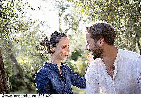 Glückliches erwachsenes Paar  das sich im Olivenhain vergnügt