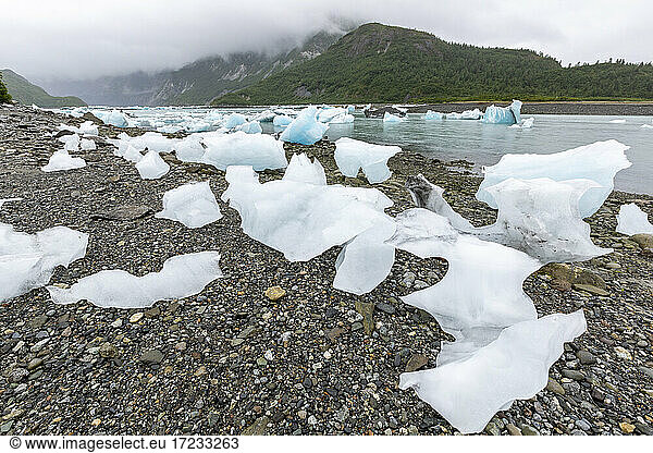 Glacial ice stranded on the beach at low tide in the East arm of Glacier Bay National Park  UNESCO World Heritage Site  Southeast Alaska  United States of America  North America