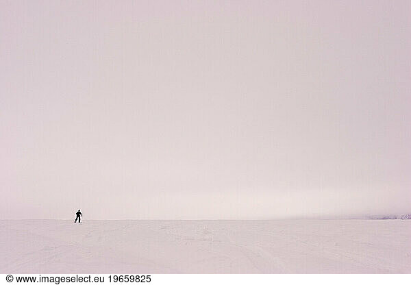 Glacier geology PhD student skis over the Brady Glacier during whiteout blizzard conditions  while pulling a sled of geophysical