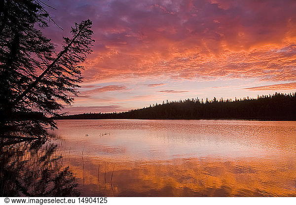 Glad Lake with brilliant colours at sunset  Duck Mountain Provincial Park; Manitoba  Canada