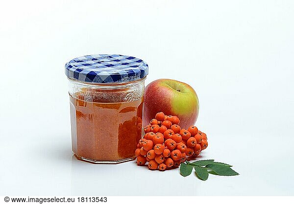 Glas Vogelbeer-Apfel-Marmelade mit Vogelbeeren (Sorbus aucuparia) und Apfel  Vogelbeermarmelade