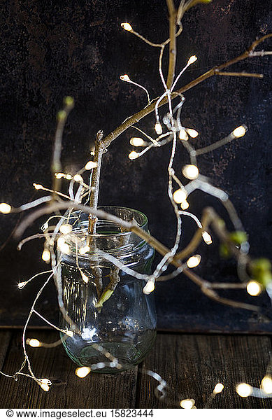 Glasbehälter und mit Lichterketten verzierte Zweige