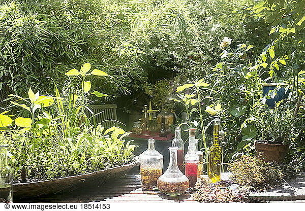 Glass bottles of oil and vinegar at table in garden