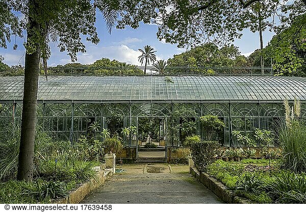 Glass House Conservatory  Botanical Garden  Palermo  Sicily  Italy  Europe