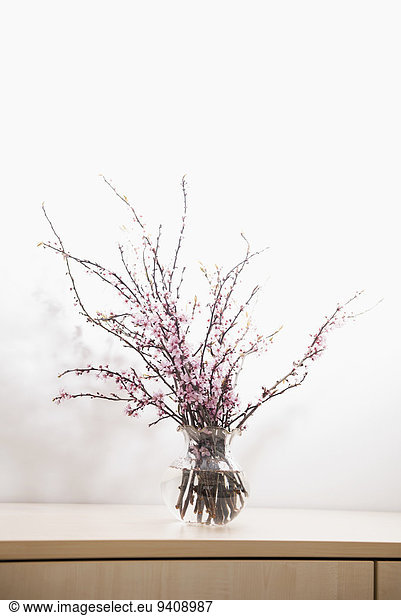 Glass vase with plum blossoms still life