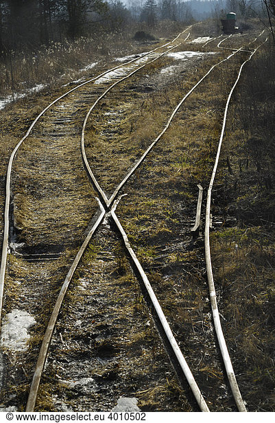 Gleisanlagen einer Feldbahn  Gegenlicht  altes Torfabbaugebiet  Nicklheim  Bayern  Deutschland  Europa