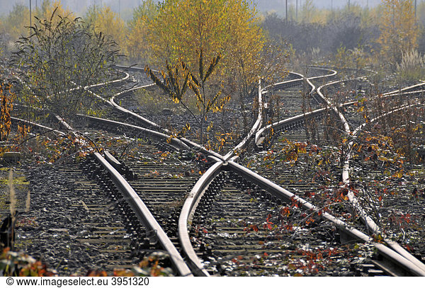 Gleise  stillgelegter Rangierbahnhof Duisburg-Wedau  eine Industriebrache im Ruhrgebiet  Nordrhein-Westfalen  Deutschland  Europa