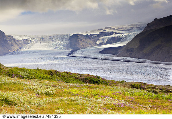 Gletscherzunge Vatnaj÷kull  Skaftafell  Südisland  Island  Europa
