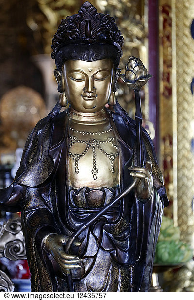 Goddess of Mercy  Avalokitesvara Bodhisattva statue  Chua Ho Quoc Pagoda  Quan Am  Phu Quoc  Vietnam  Indochina  Southeast Asia  Asia