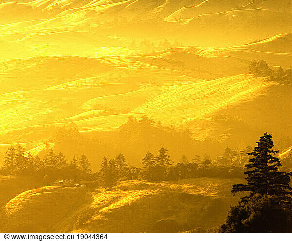Golden California hills.
