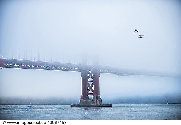 Golden Gate Bridge über die Bucht bei nebligem Wetter