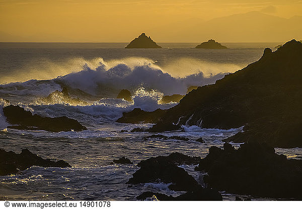 Goldener Sonnenuntergang und krachende Wellen an der Südküste Neuseelands; Wellington  Neuseeland