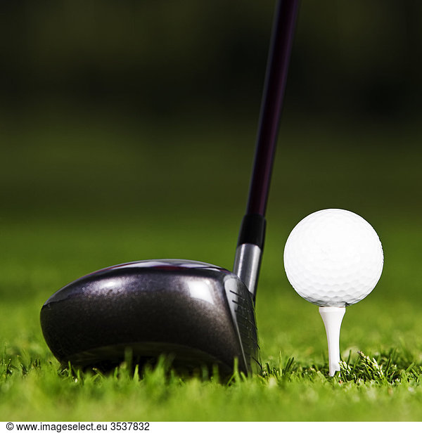Golf club and golf ball  close-up  Sweden