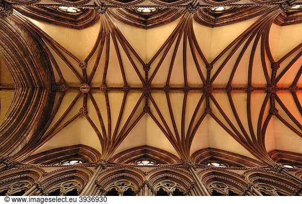 Gotisches Kreuzgewölbe der Lichfield Kathedrale  Decorated Style  englische Gotik  1256-1340  The Close  Lichfield  England  Großbritannien  Europa