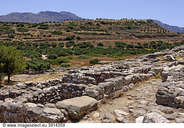 Gournia  Minoische Ausgrabungsstätte  Kreta  Griechenland  Europa