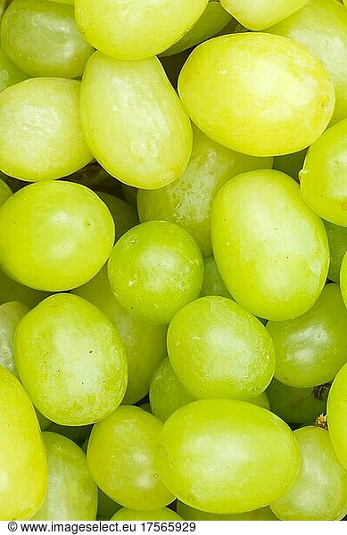 Grüne Weintrauben Trauben Weintraube Traube Früchte Frucht Hintergrund von oben