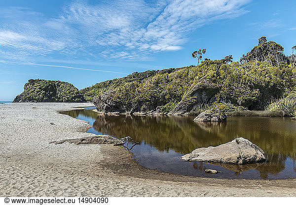 Grünes Laub auf Bäumen und Pflanzen an der Küste der Tasmanischen See  Ship Creek  Westküste; Südinsel  Neuseeland