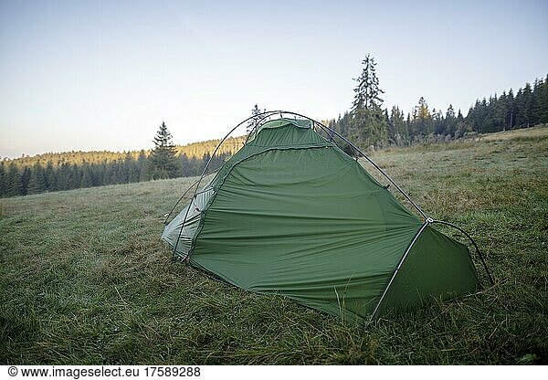 Grünes Zelt auf einer Waldwiese im Morgenlicht  Todtnauberg  Schwarzwald  Baden-Württemberg  Deutschland  Europa