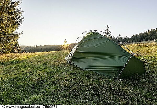 Grünes Zelt auf einer Waldwiese im Morgenlicht  Todtnauberg  Schwarzwald  Baden-Württemberg  Deutschland  Europa