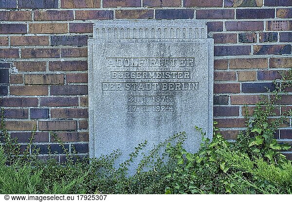 Grab Adolf Ritter  Gedenkstätte der Sozialisten  Zentralfriedhof Friedrichsfelde  Gudrunstraße  Lichtenberg  Berlin  Deutschland  Europa