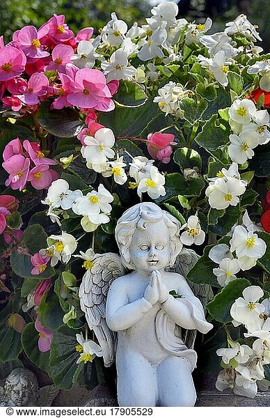 Grab mit Blumenschmuck  betender Engel und Fleißige Lieschen (Impatiens walleriana)  Allgäu  Bayern  Deutschland  Europa