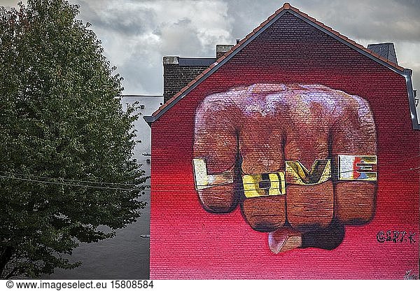 Graffiti on house wall  fist  Love  Liège  Walloon Region  Belgium  Europe