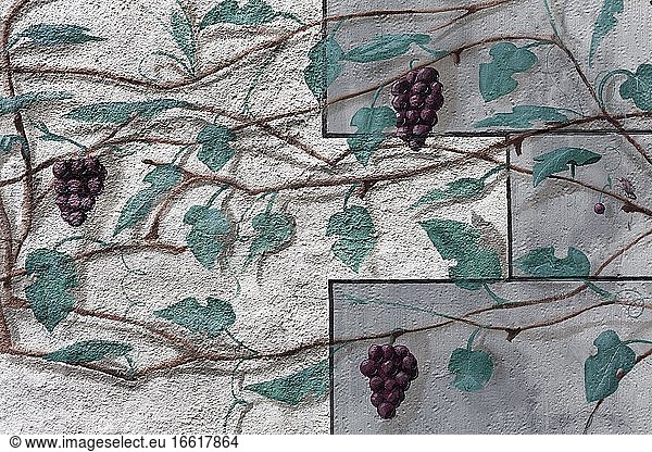 Graffito  vine leaves and grapes  tavern in the historic Johans Hof  Weimar  Thuringia  Germany  Europe
