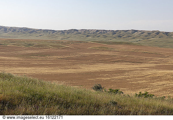 Grain plain in eastern Georgia.