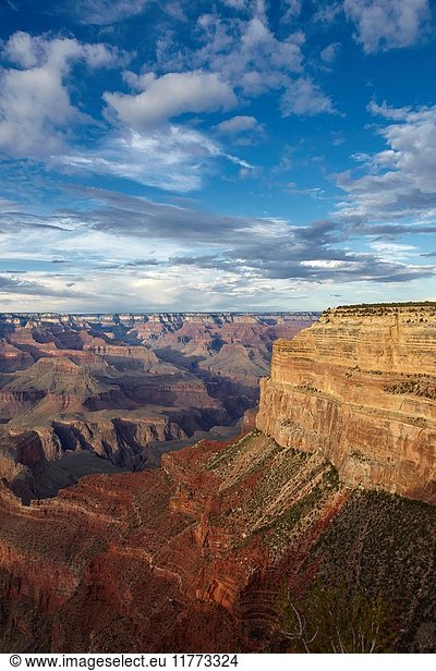 Grand Canyon seen from Mohave Point  South Rim  Arizona  United States.