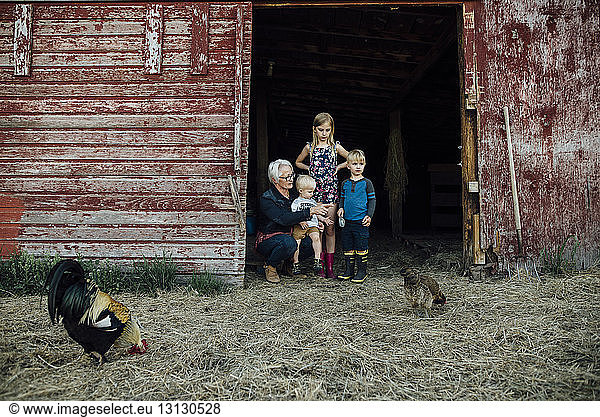 Grandchildren with grandmother looking at chickens at barn