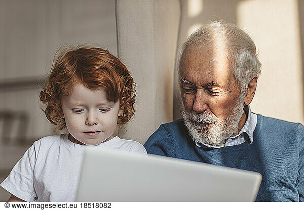 Grandfather and grandson using laptop at home