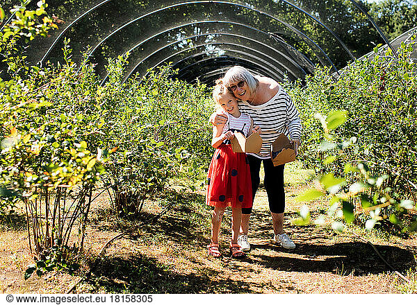 grandma and granddaughter picking blueberries together