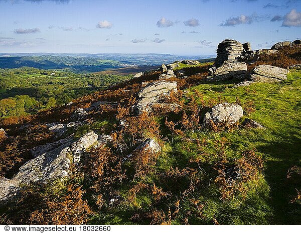 Granite boulders scattered across the landscape at Hayne Down in Dartmoor National Park near Manaton  Devon  England  United Kingdom  Europe