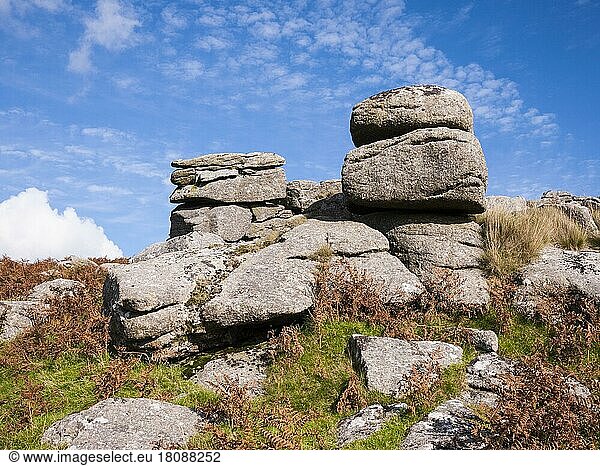 Granite outcrops at Sheeps Tor in Dartmoor National Park  Devon  England  United Kingdom  Europe