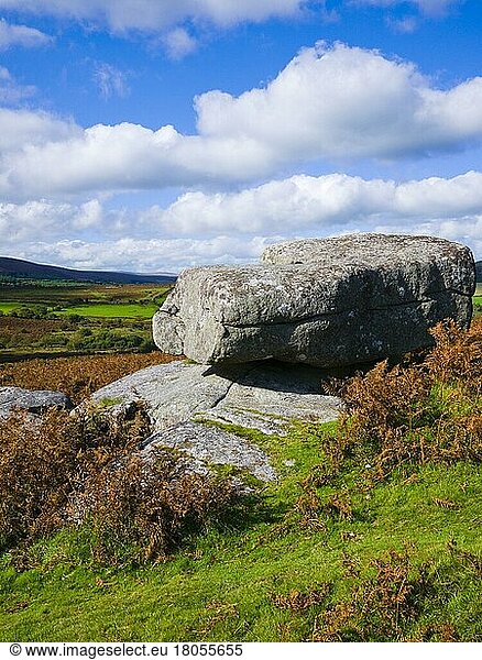Granite rocks at Hayne Down near Manaton in Dartmoor National Park  Devon  England  United Kingdom  Europe