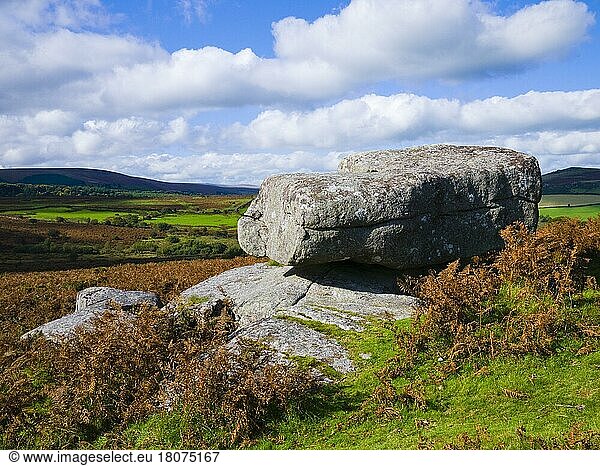 Granite rocks at Hayne Down near Manaton in Dartmoor National Park  Devon  England  United Kingdom  Europe