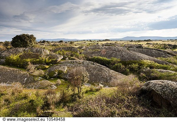 Granitfelsen  Naturschutzgebiet Los Barruecos  Extremadura  Spanien  Europa