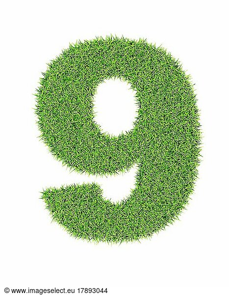 Gras Nummer 9 neun  Ökologie umweltfreundliches Konzept Zeichen Typ