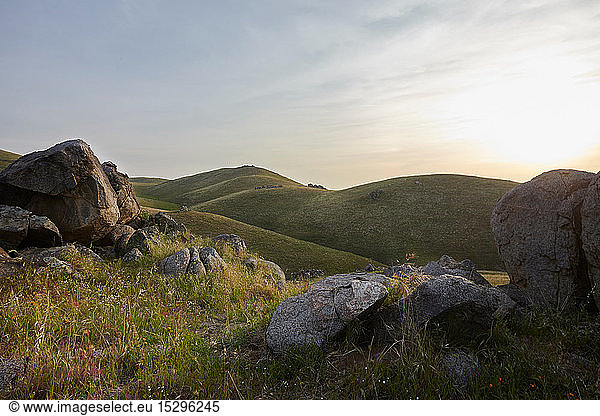 Graslandschaft  Berge im Hintergrund  Tehachapi  Kalifornien  Vereinigte Staaten
