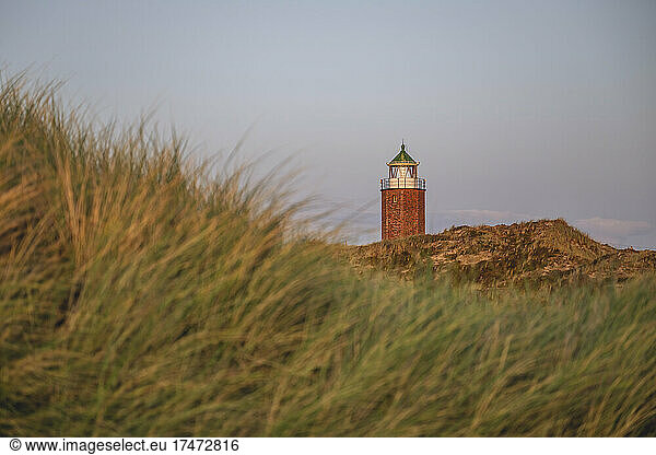 Grassy cliffside with Rotes Kliff Lighthouse in background