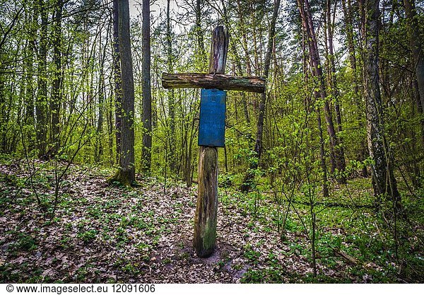 Grave of Polish partisan from Second World War in Kampinos Forest (Polish: Puszcza Kampinoska) - large forest complex located in Masovian Voivodeship  west of Warsaw in Poland.