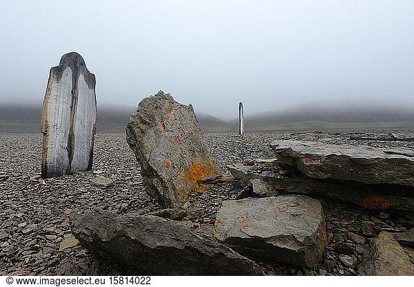 Gravesite of John Torrington member of the Franklin Expedition ...