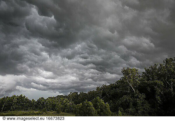 Gray Storm Clouds Cover Wooded Forest