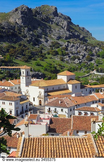 Grazalema  White Towns of Andalusia  Sierra de Grazalema Natural Park. Cadiz province  Andalusia  Spain