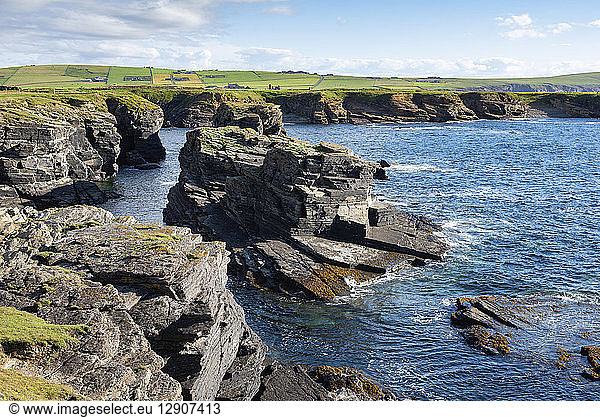Great Britain  Scotland  Orkney Islands  Birsay  rocky cliffs on the north coast of Mainland